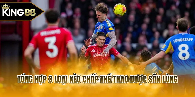 Tổng hợp 3 loại kèo chấp thể thao được săn lùng